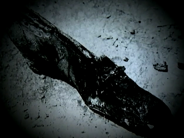 Los restos de Nydia son encontrados (5)