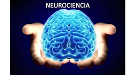 Timeline: NEUROCIENCIA