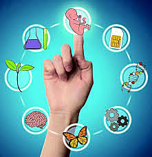 ¿Qué es la Bioética?