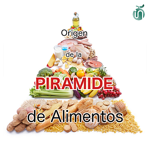 pirámide alimenticia