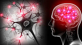 Timeline: Las neurociencias de la conducta, un viaje que no se detiene. (ALEJANDRO HERRERA V)