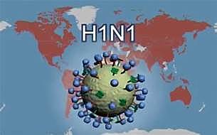 Pandemia de gripe A desde 2009_ 2010