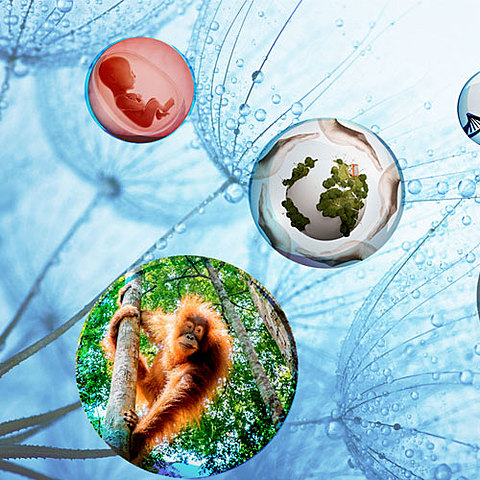 ¿QUE ES LA BIOETICA?