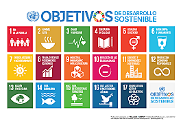 Desarrollo Humano 2010