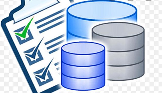 Lanzamiento del Software de marketing