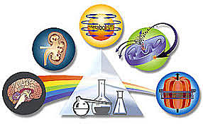 Siglo XVII – XVII: farmacología y el estudio del sistema nervioso.