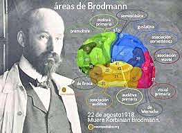 Korbinian Brodmann (1868 – 1918)