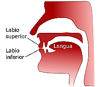 Articulación de sonidos entendibles
