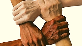 Timeline: Bien comun