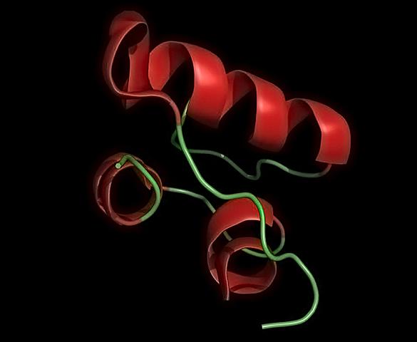 Proteína con relación al deporte (1949)