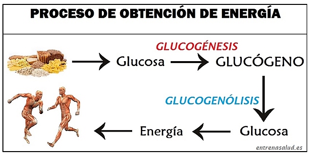 Científicos noruegos y suecos (1960)