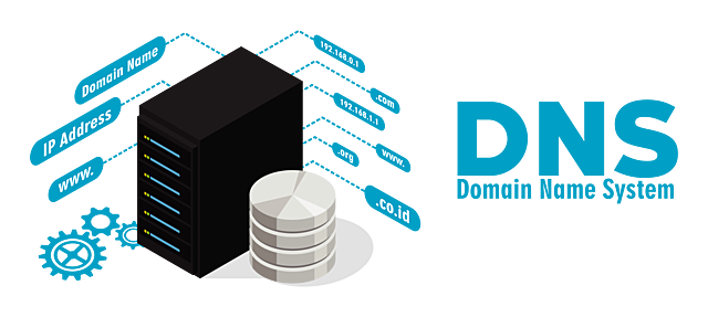 Se crea el sistema de nombres de dominio (DNS)
