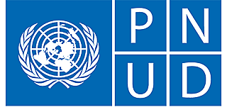 Indicadores de Desarrollo Humano del PNUD 2010