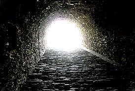 Progreso Biológico #2.