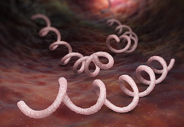 Fritz Schaudin y Erich Hoffmann