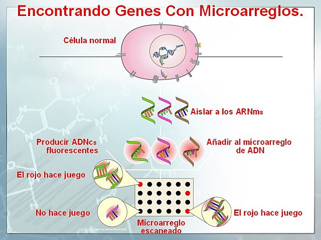 Microarreglos  (1990)