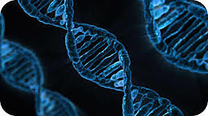 Oswald Avery. Colin MacLeod y Maclyn McCarty