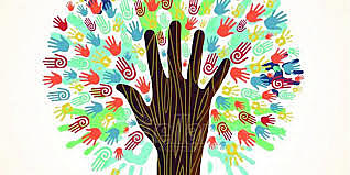 Normas del bien común