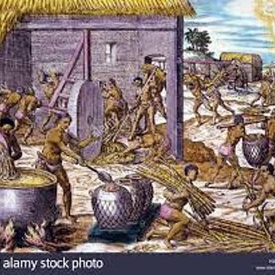 Timeline: Historia de la producción