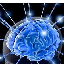 Neuropsicología dinámica