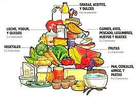 enfoque de necesidades básicas