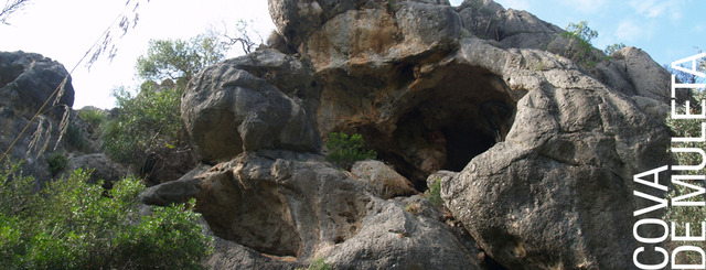 Primeres restes humanes