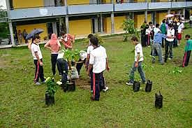 Proyectos Ambientales Escolares (PRAE)