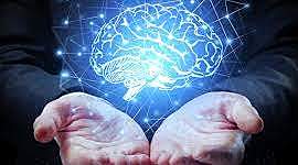 Timeline: HISTORIA DE LA CONDUCTA HUMANA