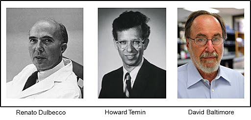 Howard Temin, David Baltimore y Renato Dulbecco.