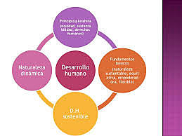 Definiciones en desarrollo (Amaro: 1999: p. 38)