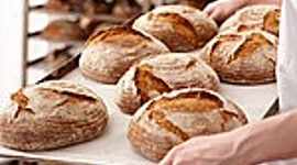 Timeline: Historia del pan