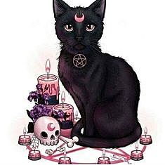 The day my kitten died.