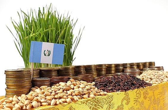 3. Desarrollo Humano