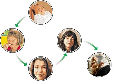 Para medir el desarrollo humano sus componentes son: