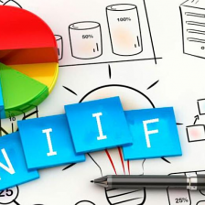 Timeline: NIIF EVOLUCION 2009-2019