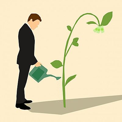 Timeline: Definiciones de Desarrollo