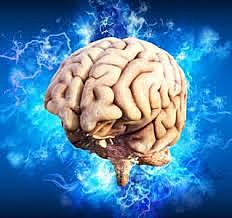 TEJIDO CEREBRAL ( Andrea Vesalius)