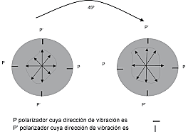 Augustin Fresnel y Thomas Young
