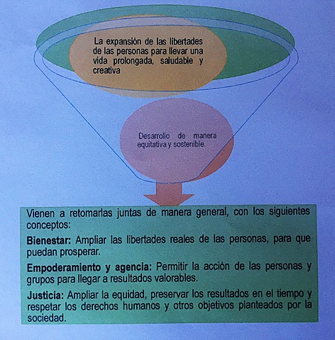 5. El concepto de desarrollo humano del PNUD 2010