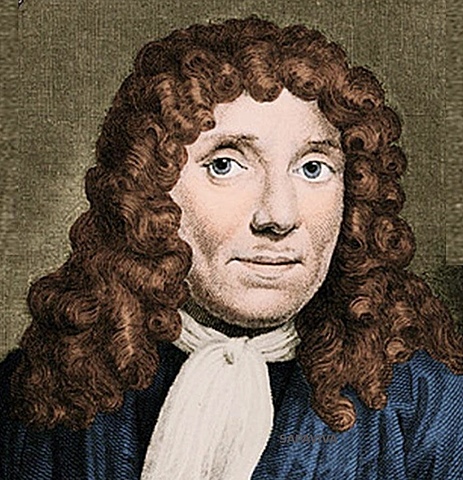 ANTONIE VAN LEEUWENHOEK