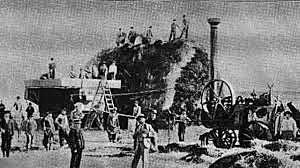 Minería y Petróleo