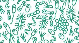 Timeline: Linea del Tiempo de los investigadores microbiologicos mas importantes