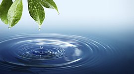 Timeline: Official Team filtrate project Timeline