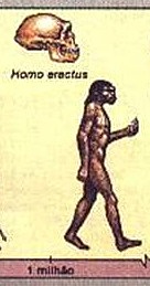HOMO ERACTUS