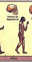 HOMEM NEANDERTHAL