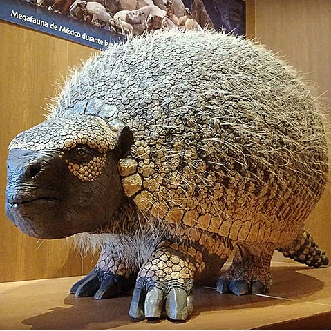 Primeros trabajos mexicanos