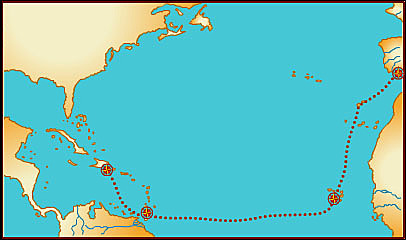 Partida de Sanlúcar de Barrameda