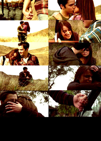 Fãs pedem desculpas