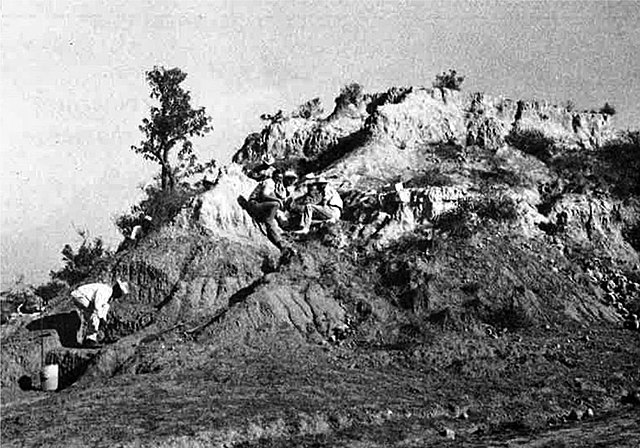 Invasión extranjera