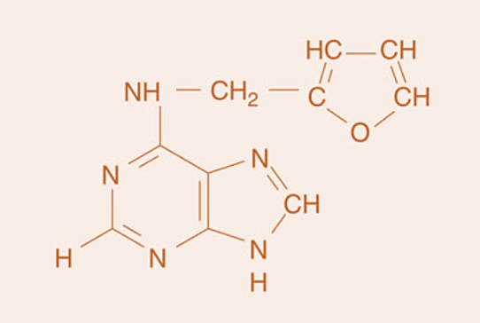 Tijeras para cortar células